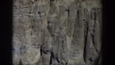 Wyoming (1951): Texture Of An Old Tree