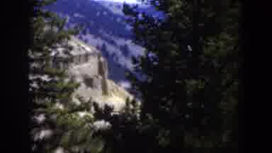 Wyoming (1951): View Of The Mountains Through The Trees In The Forest