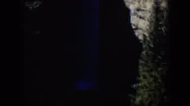 Wyoming (1951): Tall Green Tree Next To A Calif And A Nudge Black Shadow On A