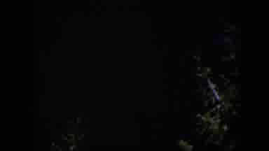 Wyoming (1951): Viewing A Garden At Night With Little Light Reveals Trees