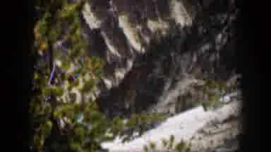Wyoming (1951): Old Footage Of A Snowy Mountainside Pine Tree And Wilderness