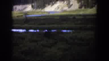 Wyoming (1951): Someone Filming An Animal In The Woods