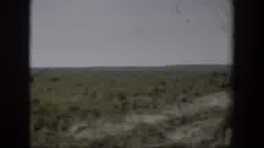 Wyoming (1951): A Vast Farmland With Growing Crops Springing Out Of The Ground