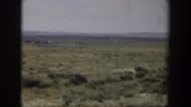 Wyoming (1951): Far Away Deer Running Across A Wide Open Field