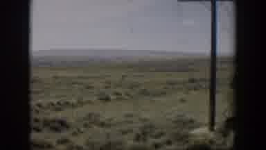 Wyoming (1951): An Antelope Caught On Camera Walking Along In The Prairie