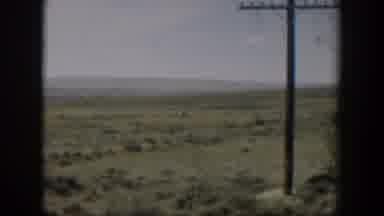 Wyoming (1951): In The Far Distance Out Of View Some Type Of Animal Roams The