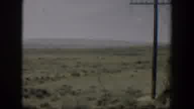Wyoming (1951): A Video Captured Of A Horse Running In A Opened Land