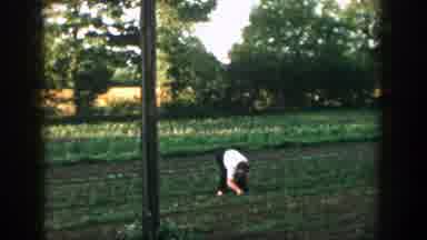 Michigan (1957): Father Son And Family Dog On The Farm With Crops