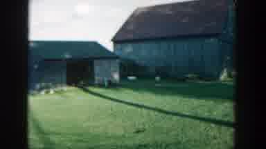 Michigan (1957): View Of Green Barn And Boy Petting Black Dog On A Clear Sunny Day