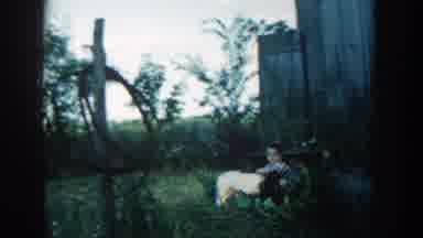 Michigan (1957): Boy Wearing Blue Shorts Pets Black And White Dog On A Clear Day