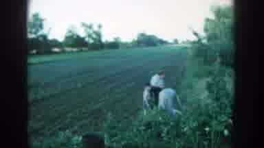 Michigan (1957): Two Women And One Young Boy Working In A Field On A Farm