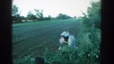 Michigan (1957): Family Playing On In A Field And Kid Swings On Swing set Near A