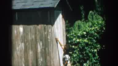 Michigan (1957): Little Boy Hurts Himself By Opening The Door