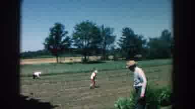 Michigan (1957): A Family Is Working In A Large Field