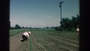 Michigan (1957): A Farmer And His Wife Planting Seeds In The Soil In His Vast