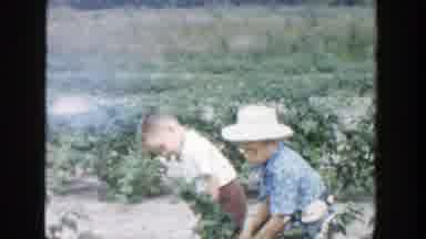 Michigan (1957): Some Little Kids Are Playing In A Huge Field In A Fresh And Sunny