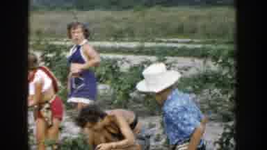 Michigan (1957): Five Kids Picking White Items From Small Bushes On A Clear Day
