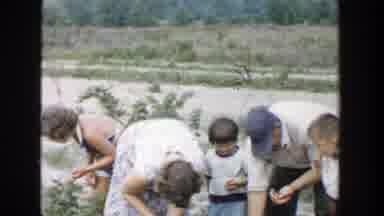 Michigan (1957): Family Picking Berries From Bushes In Field And Woman Walking In