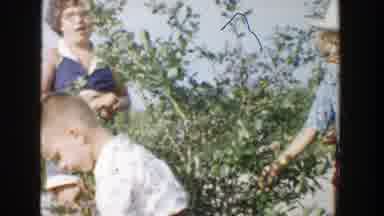 Michigan (1957): Family Picking Olives Off Of A Tree In Europe Parents And