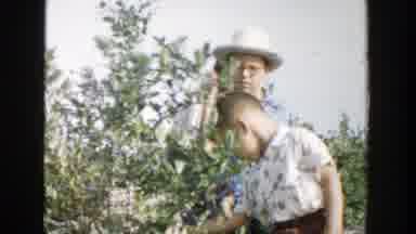 Michigan (1957): Fruit Picking Family Blueberry Boy Foraging Friends Family