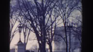Washington DC (1960): Cars Passing On A Busy Street With Trees On The Sidewalk And
