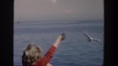 Cuba (1951): Birds Hovering Over The Skies As They Are Viewed From The Ground