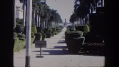 Cuba (1951): Palm Trees And Bushes Lined Up Elegantly With A Sidewalk And Sign