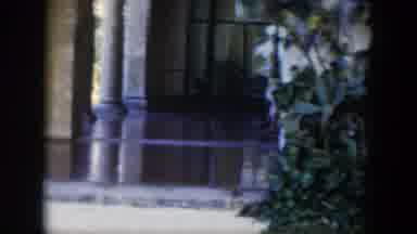 Cuba (1951): Footage Of Green Plants And Vegetation Outside A Big Hotel
