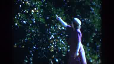 Cuba (1951): A Woman Stretches Her Hand To Reach A Fruit On A Tree