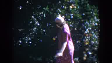 Cuba (1951): Woman Inspecting And Picking Oranges From Tree In Her s Hat And Dress