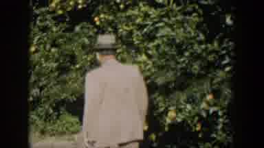 Cuba (1951): Old Man Walking Alone And Examining The Leaves