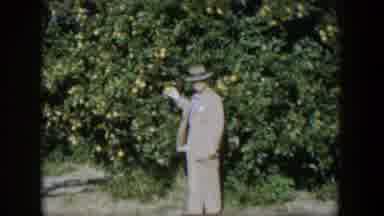 Cuba (1951): A Man In A Grey Suit And A Hat Directs Someone In The Bushy Road