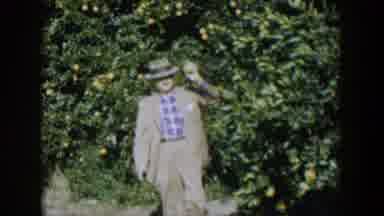 Cuba (1951): A Man In A Suit And Hat Walks Past Several Citrus Trees As He Picks