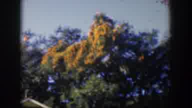Cuba (1951): Trees In The Distance Resting Above A House