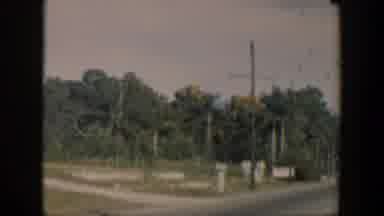 Cuba (1951): View Of Green Trees And Telephone Pole On A Clear Day