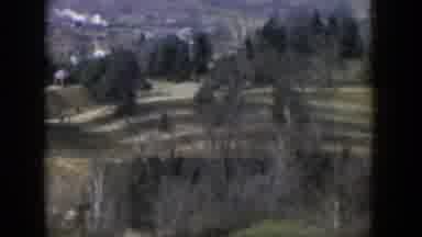 Cuba (1951): Landscape Of Sparsely Populated Trees Seen From A Helicopter