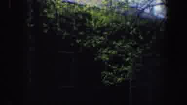 Philadelphia Pennsylvania (1962): A Bungalow Apartment Surrounded By Trees Has A