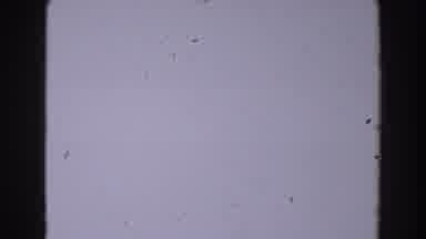 North Hollywood California (1962): Just A Plain White Video Without Things Or