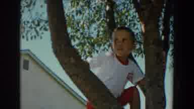 North Hollywood California (1962): Young Boy Climbing A Large Tree On A Beautiful