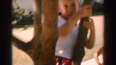 North Hollywood California (1962): Two Boys Trying Out Tree Climbing As One Hurts