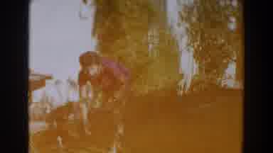 North Hollywood California (1962): A Woman Works On A Farm Tirelessly As She