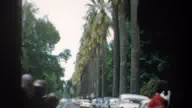 San Francisco California (1957): Someone Driving Down The Street Passing A