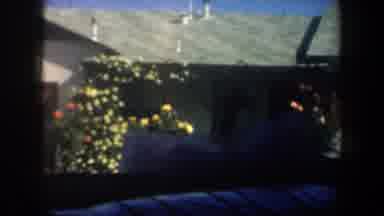 San Francisco California (1957): Simple But Pretty House With A Front Yard Garden