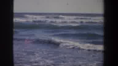 San Francisco California (1957): Birds Flying By The Ocean Near The Beach Pier In
