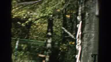 Michigan (1959): View Of Grass The Green Shingles Of House Then Green Shade Over
