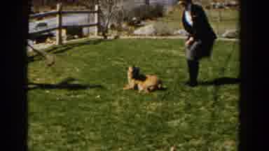 Michigan (1959): Some People Watch Other People Play With A Dog That Has Fun