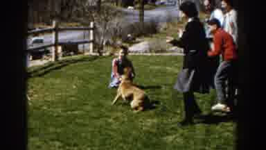Michigan (1959): People Applauding Brown Dog And Boy Wearing Blue Pants On A Sunny