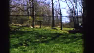 Michigan (1959): Backyard Of A House With A Man Made Stone Pond Structure