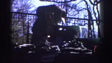 Michigan (1959): Creepy Video View Of A Gloomy Backyard Garden Decorated With A