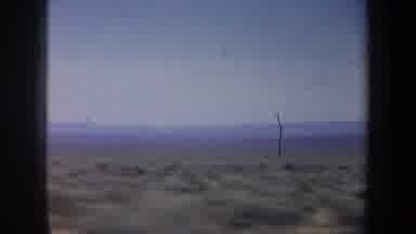 Oregon (1957): Passing View Of Small Green Shrubs And A Green Tree On A Sunny Day